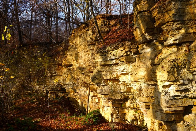 Wychodnia skalna w Rezerwacie Bukowica. Fot. R. Matyskiel